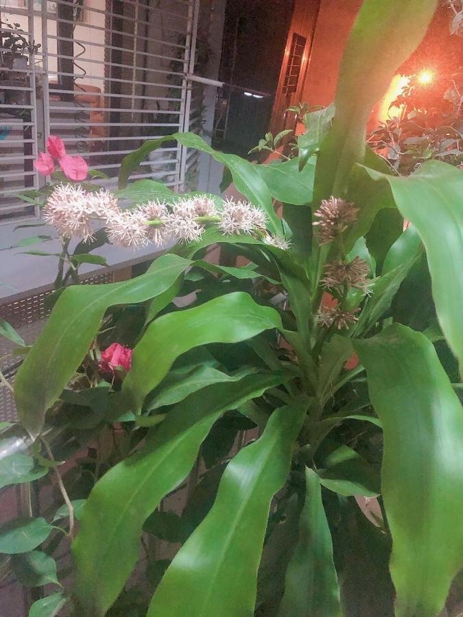 Li Homestay 134 Tran Binh, My Dinh, Nam Tu Liem, Ha Noi Hanoi Esterno foto